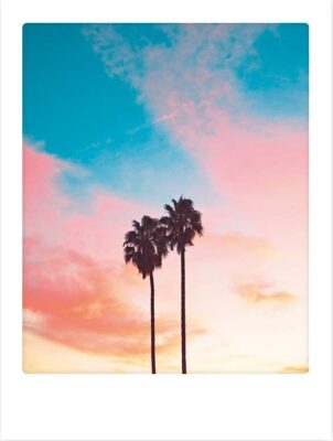 Art Poster happy palm trees