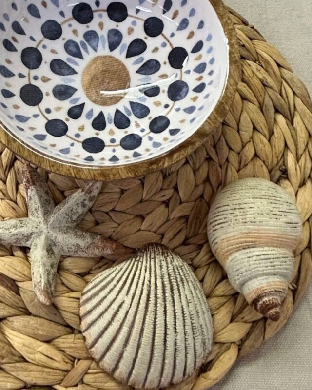 Drei Muscheln als Dekoelemente für einen herbstlichen mediterranen Küchentisch