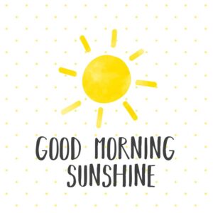 Good Morning Sunshine Servietten 33x33 cm