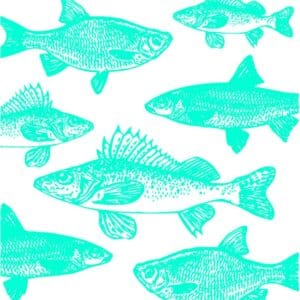 Graphic Fishes aqua Napkin 33x33