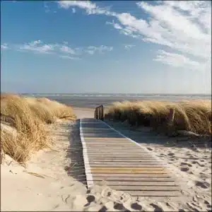 Napkin 33 Walking to the sea FSC Mix